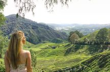 Full Day Tour to Cameron Highlands with Batu Caves Stopover