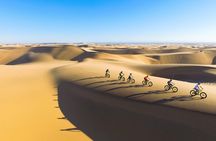 Scenic Desert Tour by Bike