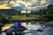 Dublin: Glendalough, Wicklow, Kilkenny and Sheepdog demonstration