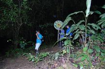 Nativos Corcovado Night Hike in DrakeBay