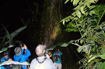 Nativos Corcovado Night Hike in DrakeBay