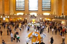 Grand Central: The Open Sesame Bagel Tour