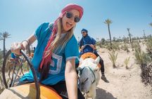 Marrakech Like a Local: Customized Private Tour