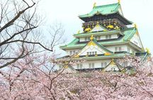 Osaka Like a Local: Customized Private Tour
