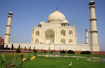 Bear Rescue Center and Wonderful Taj Mahal