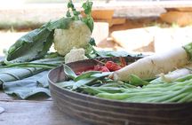 Local Farm and Village Visit with an Authentic Rajasthani Vegetarian Meal