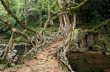 6-Day Tour of Exotic Northeast India: Mawsmai Caves, Double Decker Living Root Bridge and Kaziranga National Park