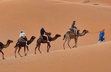 4-Day Sahara Desert Tour to Zagora and Merzouga from Marrakech 