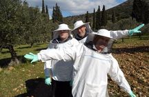Beekeeper for a Day close to Nafplio