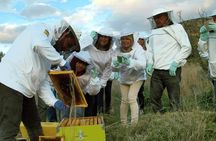 Beekeeper for a Day close to Nafplio