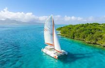 Full-Day Catamaran Cruise to Île aux Cerfs with BBQ Lunch
