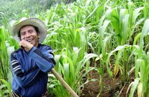 Lake Atitlan: Upper Mayan Trail from Antigua or Panajachel