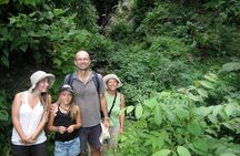 Lake Atitlan Lower Mayan Trail Hiking Tour from Panajachel