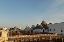 from BARI or OSTUNI to central Puglia wonders tour !
