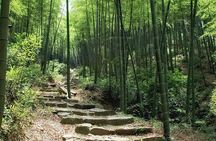 Plog and Hike Mount Mogan Nature Reserve – Guided Outdoor Tour from Hangzhou