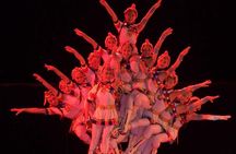 Beijing night tour including Acrobatics show and Peking duck dinner