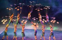 Beijing night tour including Acrobatics show and Peking duck dinner