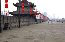 Private Day tour of Xi'an From Beijing Including Transfer Service
