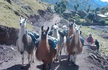 Lares Trek to Machu Picchu: 4-Day Tour