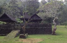 Tenganan Village Rice Field Trekking Tour