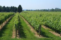The Hamptons and Long Island Wineries Private Tour