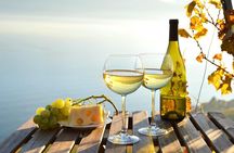 The Hamptons and Long Island Wineries Private Tour