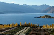 Wanaka Wine Tours - Classic Tour