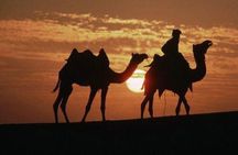 Overnight Camping With Camel Safari In Jaisalmer