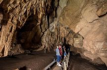Cutta Cutta Caves Nature Park Guided Tours