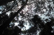 Mountain Biking and Waterfall Tour from Lombok