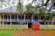 Oak Alley or Laura Plantation Tour from New Orleans
