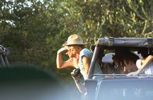 Private Yala Safari Day Trip & Exclusive Beach BBQ Dinner