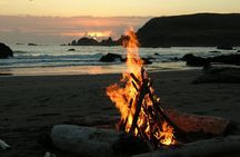 Private Yala Safari Day Trip & Exclusive Beach BBQ Dinner