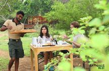 From Beach Hotels: Yala National Park Safari with Campsite Lunch