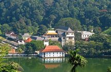 Exclusive : Last Kingdom Private Day Tour in Kandy