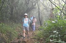 Waterfall Trekking in Knuckles Mountain Range