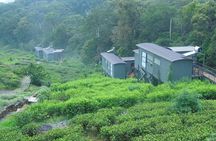All Inclusive - Private Overnight Rain forest adventure in Sinharaja