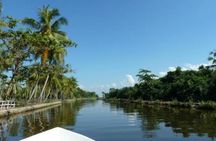Exclusive : Muthurajawela Bird Watching Tour