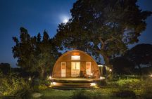 2 Nights Luxury Wild Experience in Leopard Nest with return transfers