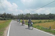 Half-Day Lagoon and Village Cycling Tour in Galle