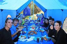 8-Day Classic Inca Trail Journey to Machu Picchu from Cusco