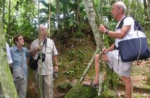 Walking the Gold Trail tour