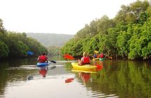 Goa Kayaking in Spike's River
