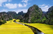Full day tour to Hoa Lu - Tam Coc in Ninh Binh