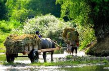 2-day Pu Luong Natural Reserve from Hanoi