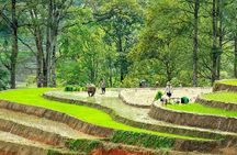 5-Day North Vietnam: Hanoi -Halong Bay -Ninh Binh-Sapa from Hanoi