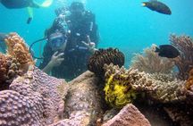 Private Scuba Diving Tour Nha Trang Included Lunch
