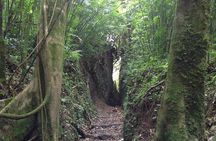 Mombacho Volcano Hike and Ziplining Adventure from San Juan del Sur