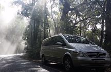 Shore Excursion-Healesville-Sanctuary-Private-Group- Max 7 PAX -Yarra Valley 