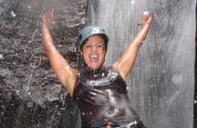 Tijuca National Park Hike and Waterfall Rappelling